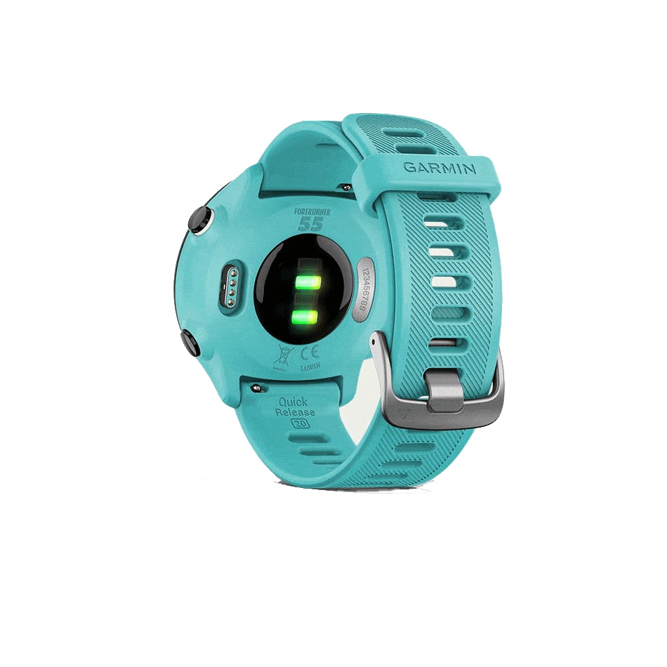 Garmin Electronics Garmin Forerunner 55 Aqua - Up and Running
