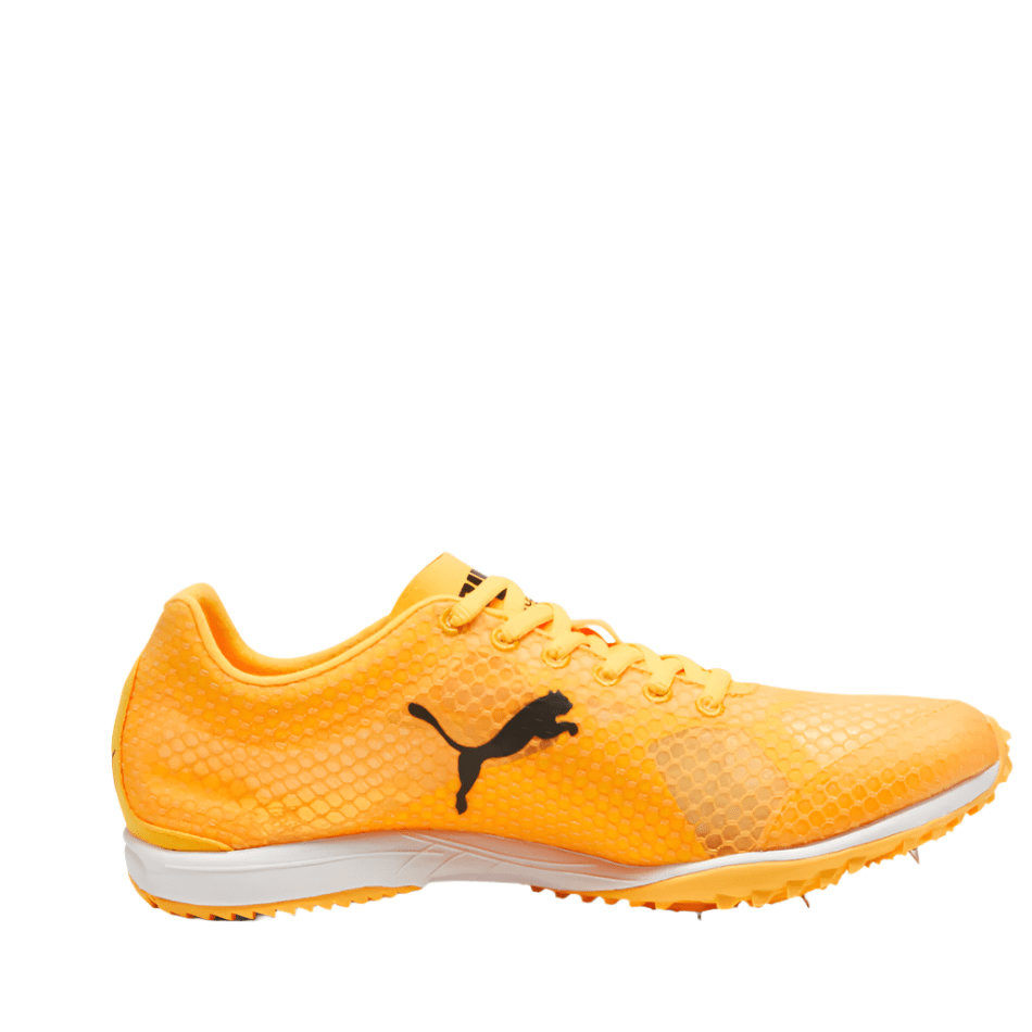 PUMA Shoes Puma Unisex EvoSpeed Haraka 8 Running Shoes in Sunstream/PUMA Black/PUMA White SS25 - Up and Running