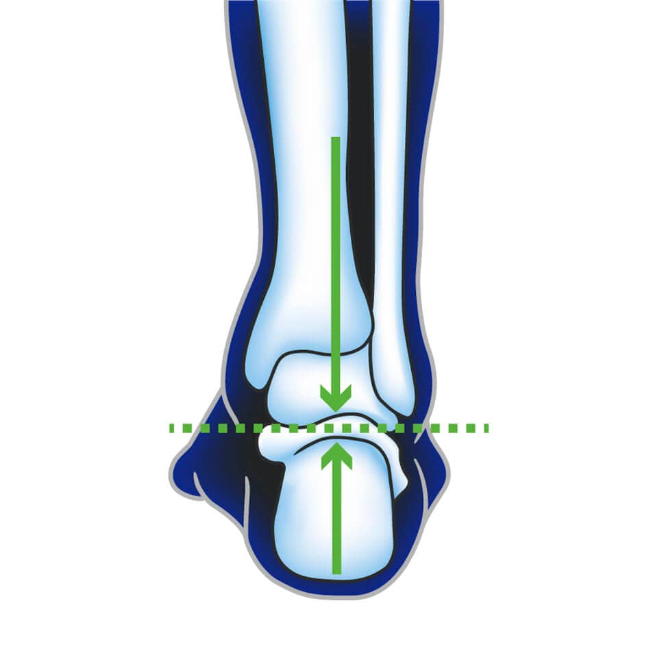 Ultimate Performance Accessories Ultimate Performance Advanced Insole With F3D AW23 - Up and Running